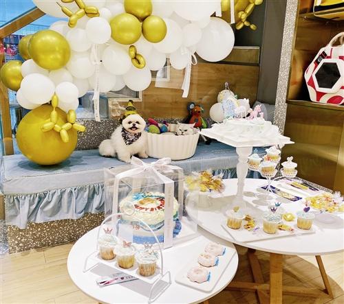 如何开生日party 7b247874-24ac-4423-b770-4281d5649b78.jpg