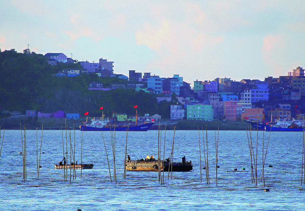  “海上菜园” 耕种忙