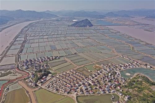  三门海润街道涛头村：“鲜甜”小康路 日子甜蜜蜜