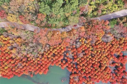  农村公路惹人醉