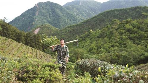  屈卫明：35年绿荒山守青山拓金山