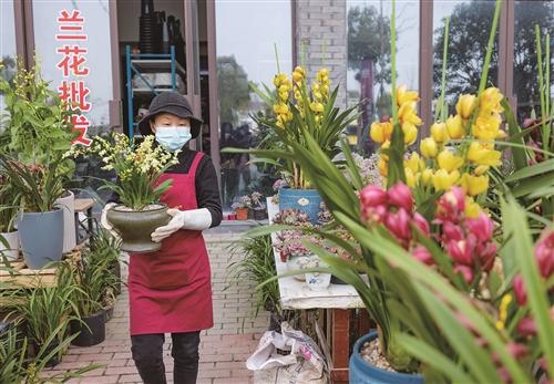  花卉市场购销两旺