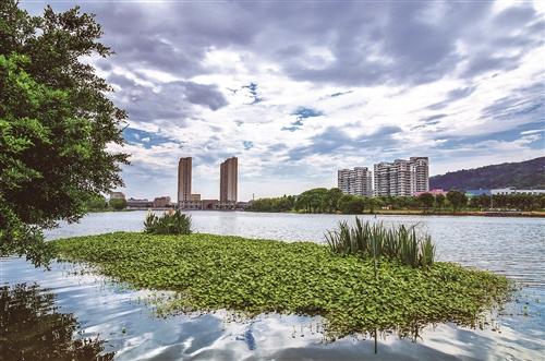  大麦屿：庆澜河边白鹭飞 和谐宜居生态美