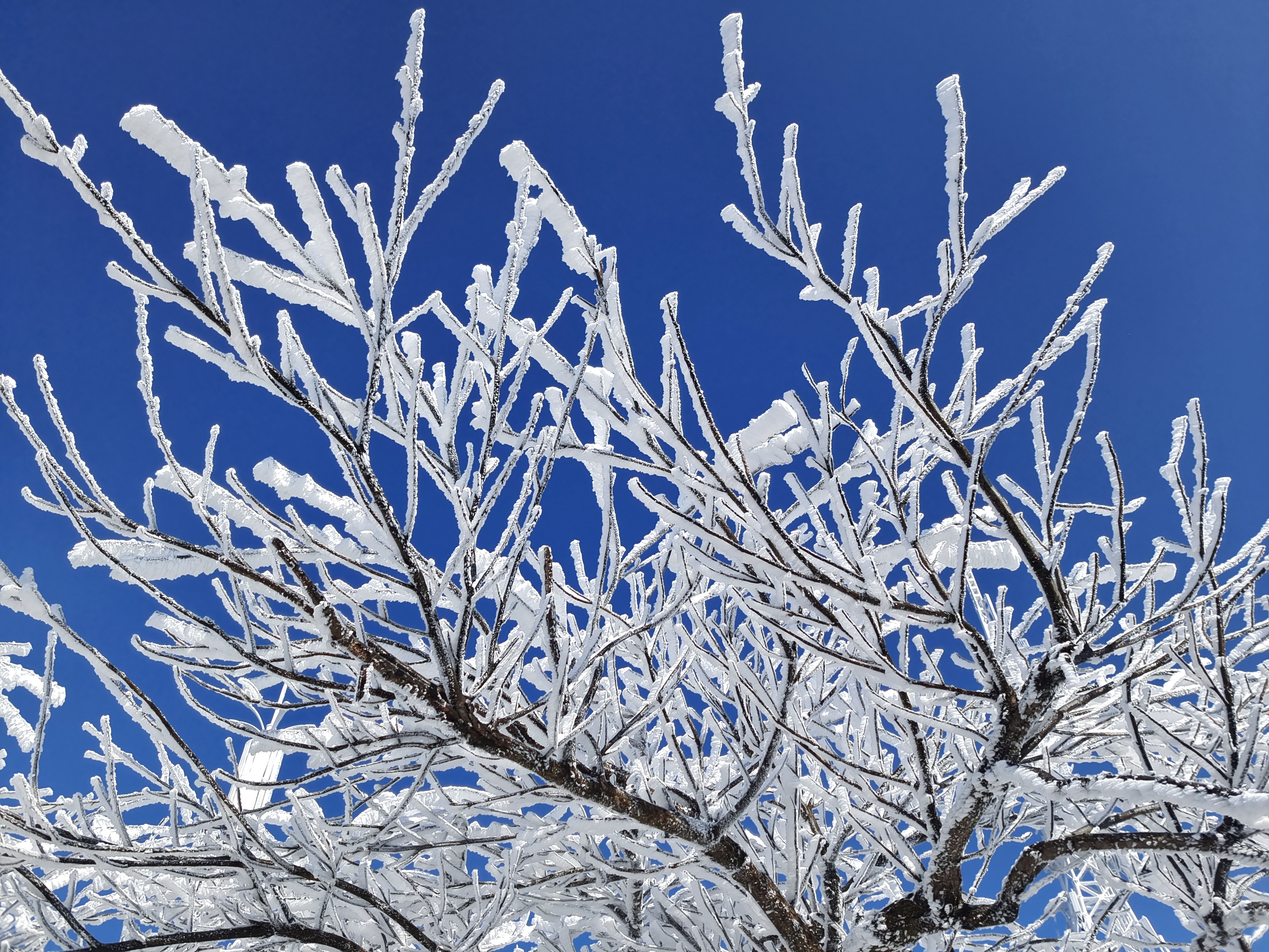  2022年台州第一场雪要来了