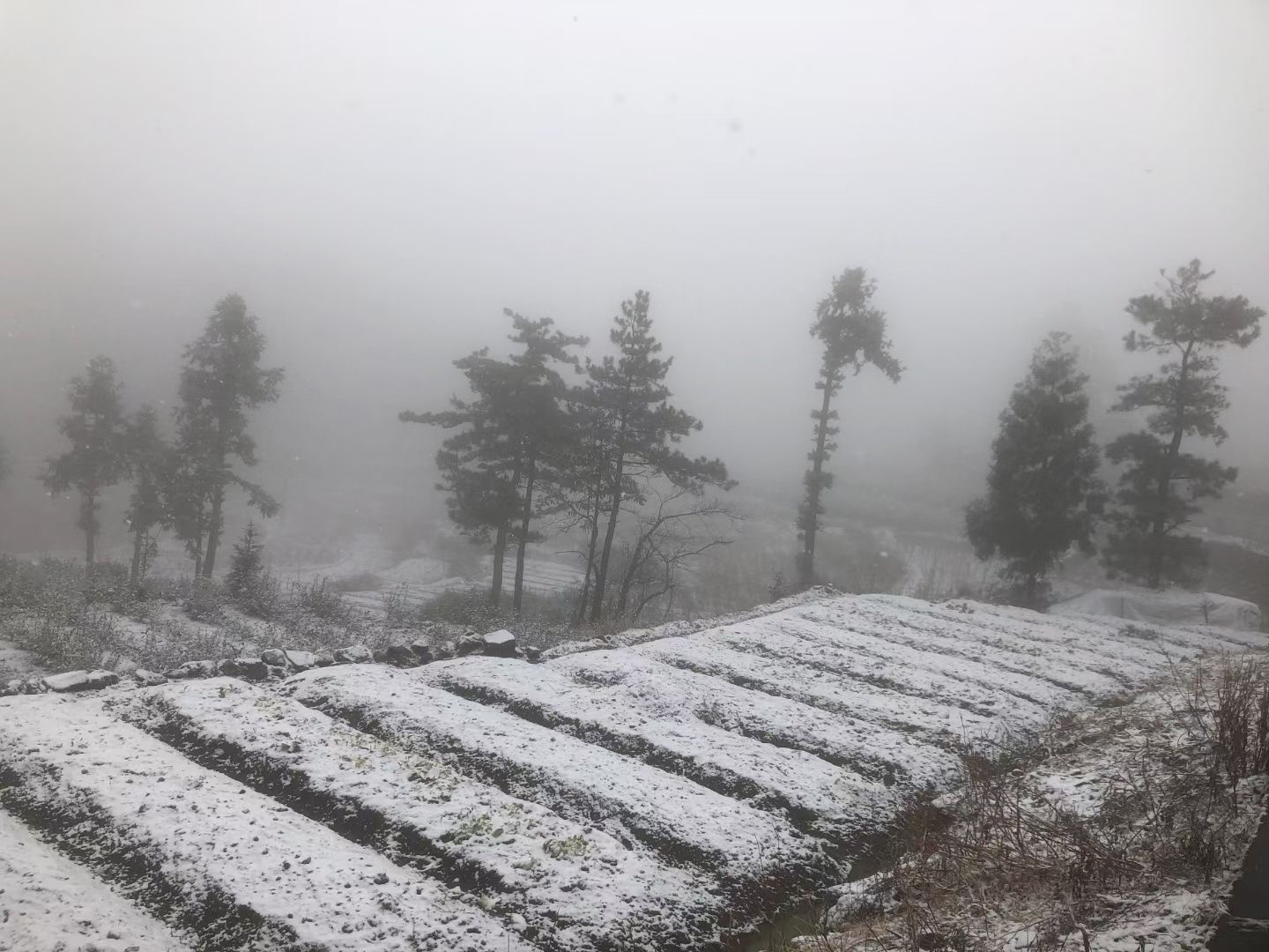  2022年台州第一场雪要来了