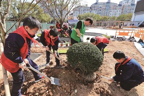  种下“成长树” 育好“生态林”