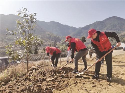  共建党员先锋林