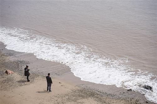  玉环环岛南路：5.6公里的春日海景