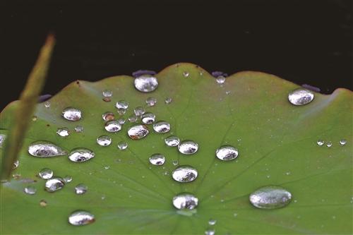  应对强对流天气，这份防御指南请收好