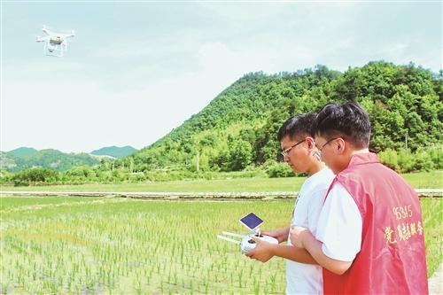  科技助农 提质增效