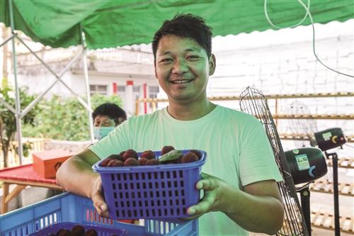  电商助力 仙梅走俏