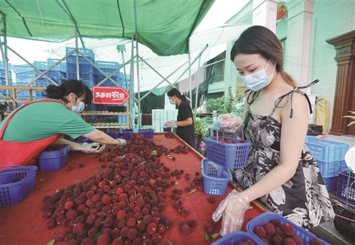  电商助力 仙梅走俏