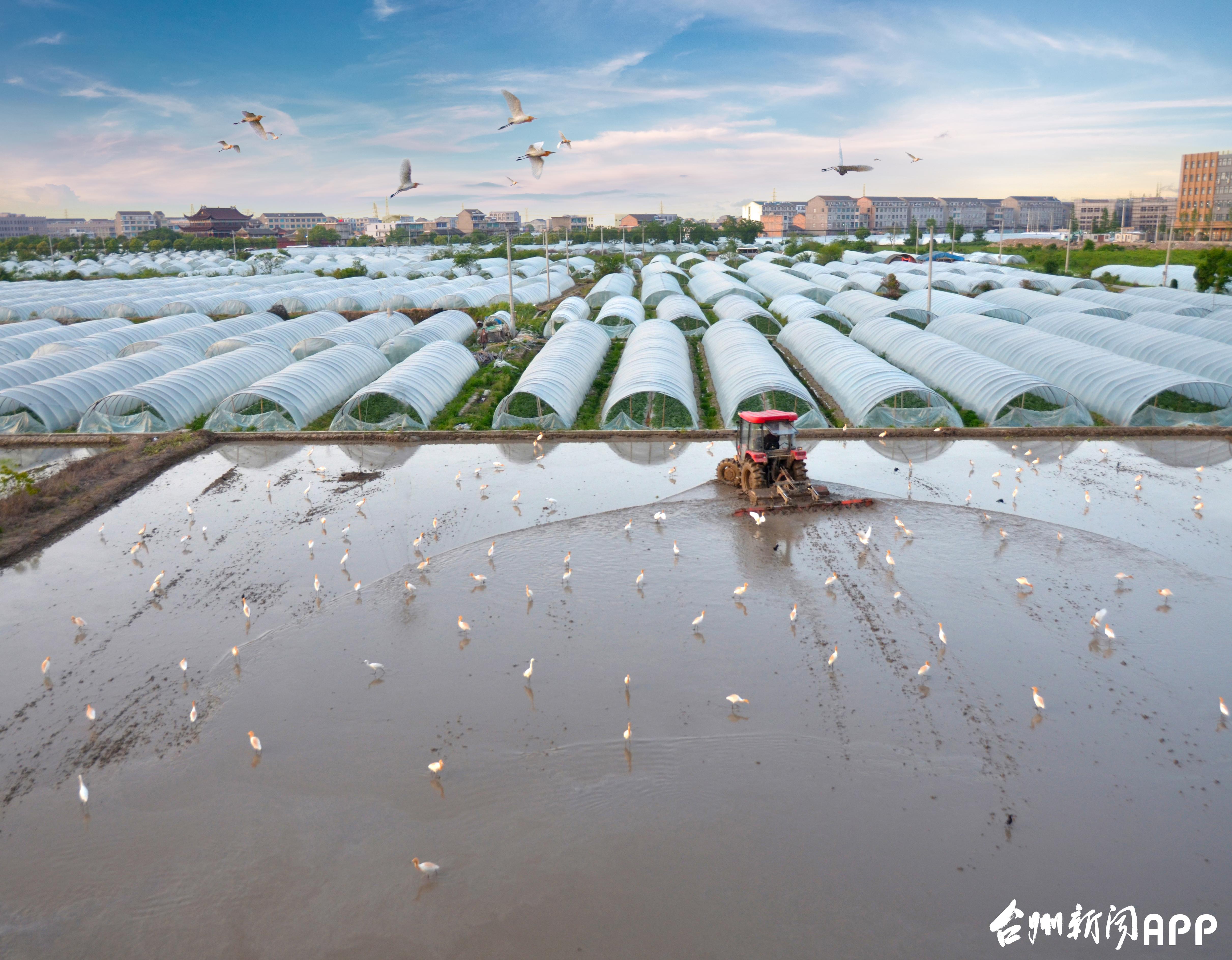 #头图 王月华.jpg