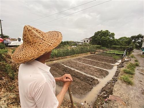  久旱逢甘霖