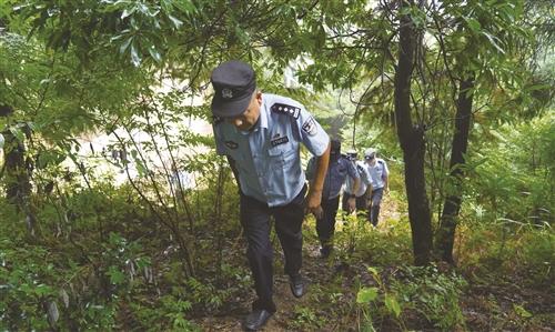  扎根千米高山的“守林人”