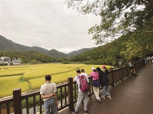  国庆长假天台接待旅游团超200个