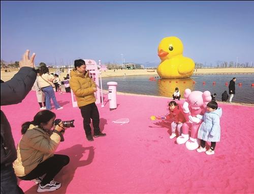 粉色沙滩迎客来