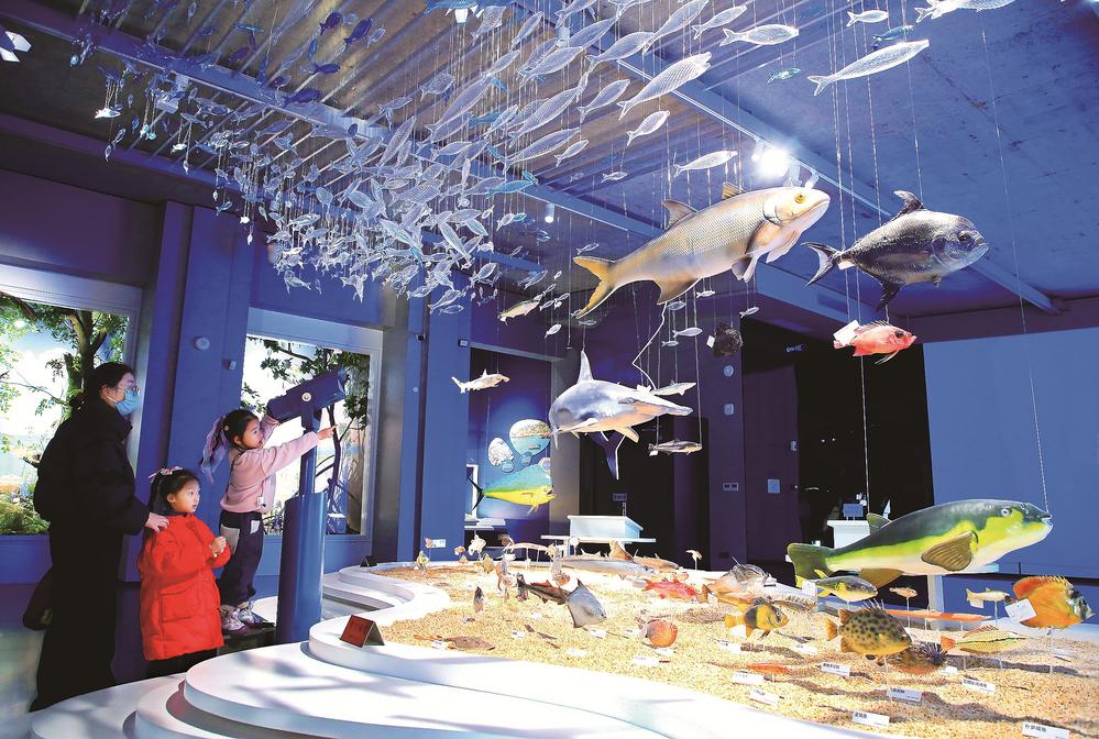 探秘海洋 学乐同行